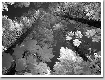 Convergence