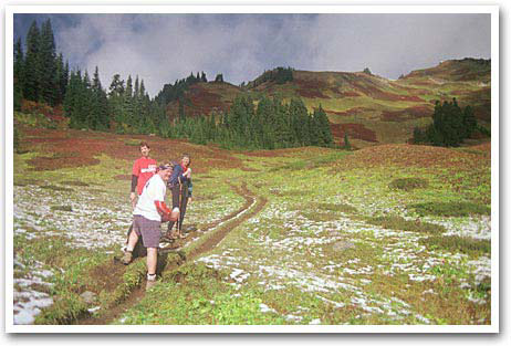 Green Mountain Meadow